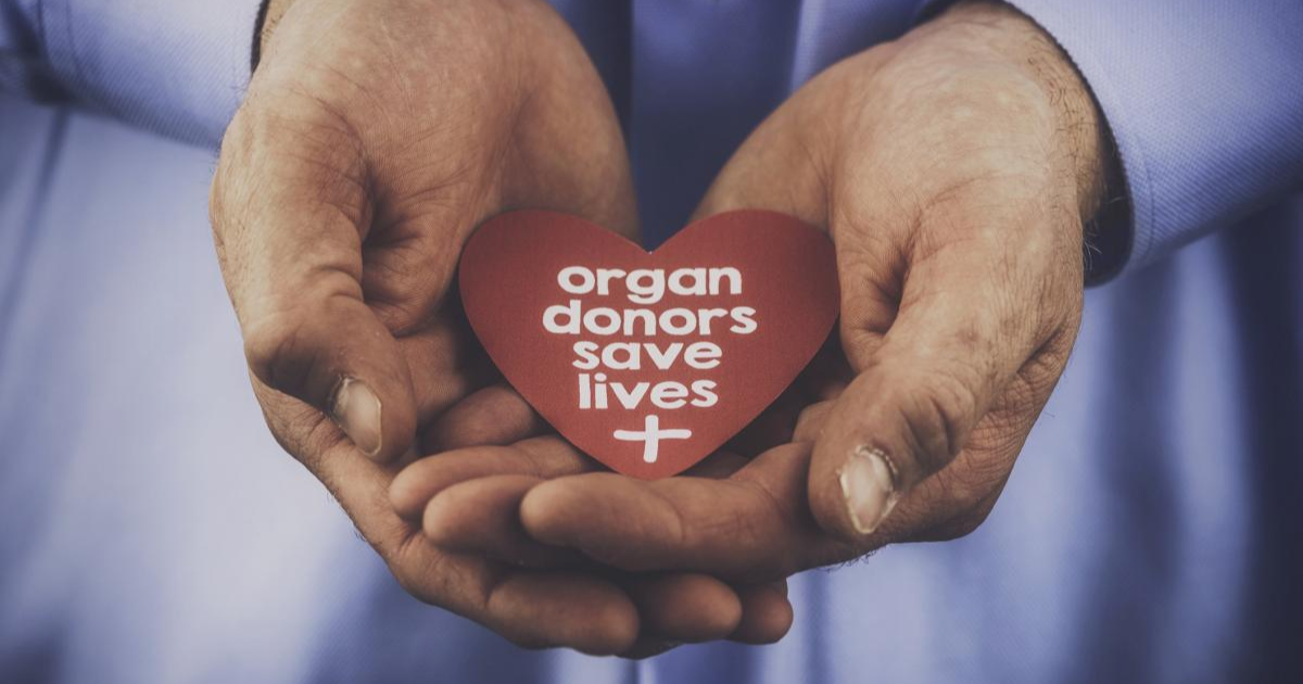 Man's hands holding a paper heart that says "organ donors save lives"