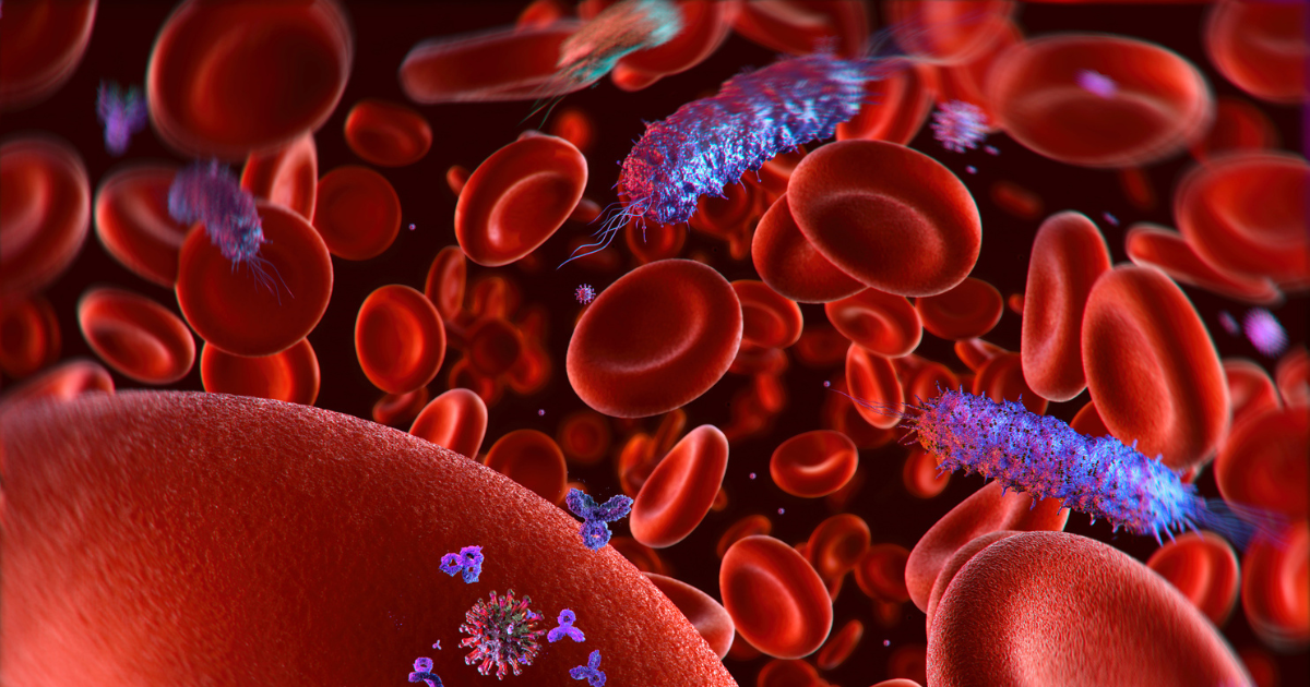 Microscopic germ, bacterial infection agent, gram negative bacterium, contaminated blood 3D science illustration