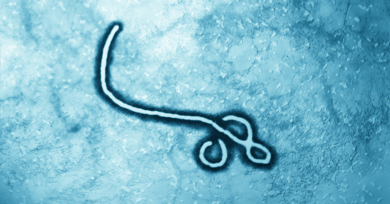 Should Americans be worried about the recent Ebola outbreak? | Nebraska  Medicine Omaha, NE