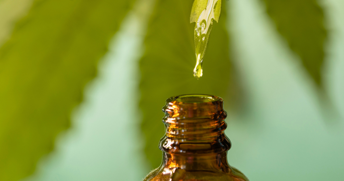 Oil dripping from leaf into bottle