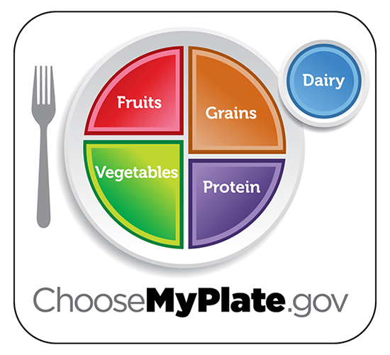 An infographic representing appropriate portion sizes of fruits, grains, vegetables, protein and dairy.