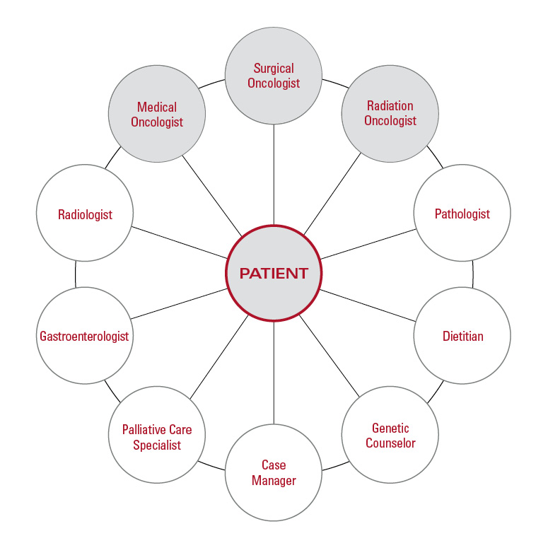 The pancreatic cancer patient wheel illustrating all the types of physicians a pancreatic cancer patient may meet.