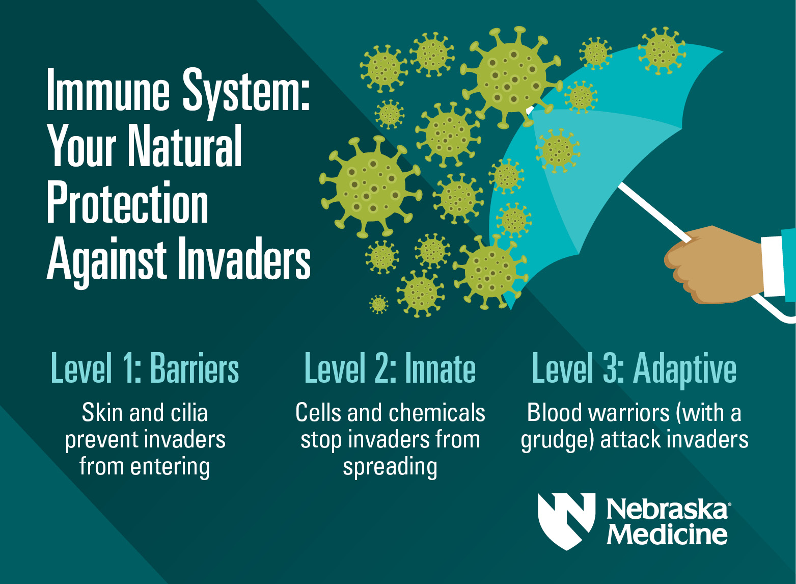 Může silný imunitní systém bojovat s Covidem?