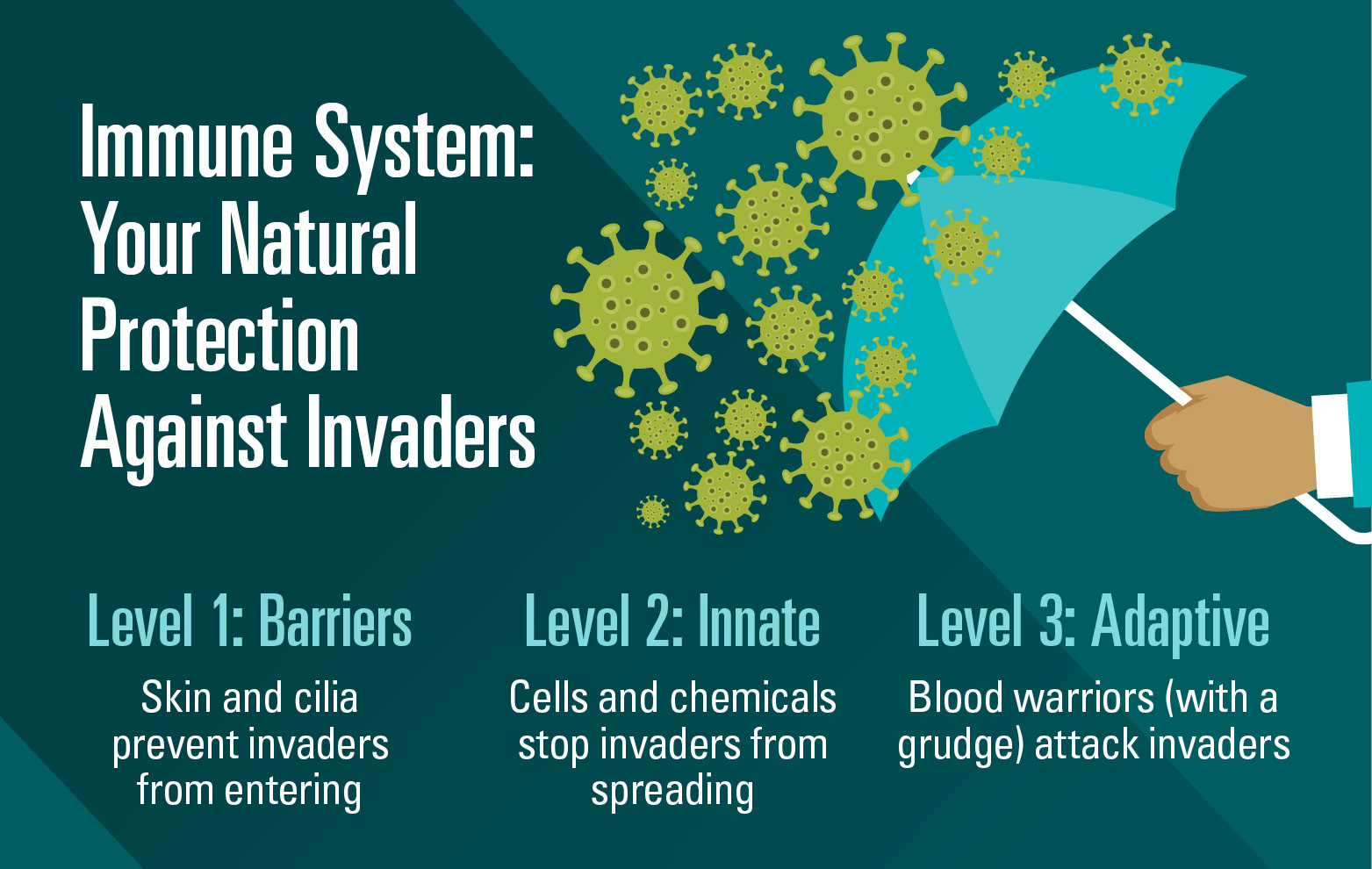 3 Simple Ways To Support Your Immune System | Nebraska Medicine Omaha, Ne