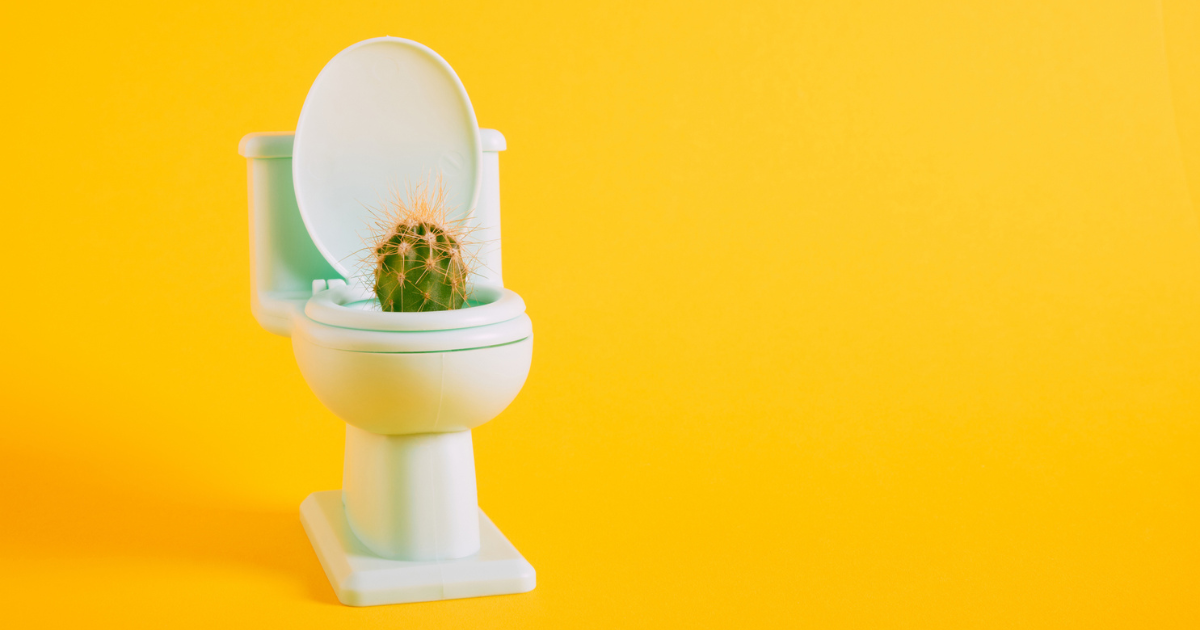 Graphic of a toilet with a cactus in it