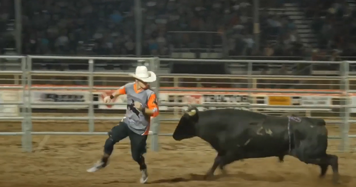 Ely Sharkey in the ring with a bull