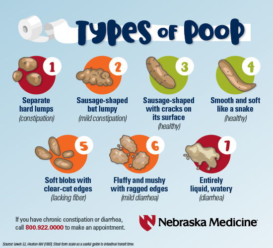 What Your Poo Says About Your Health: Infographic Reveals What The Perfect Stool Looks Like