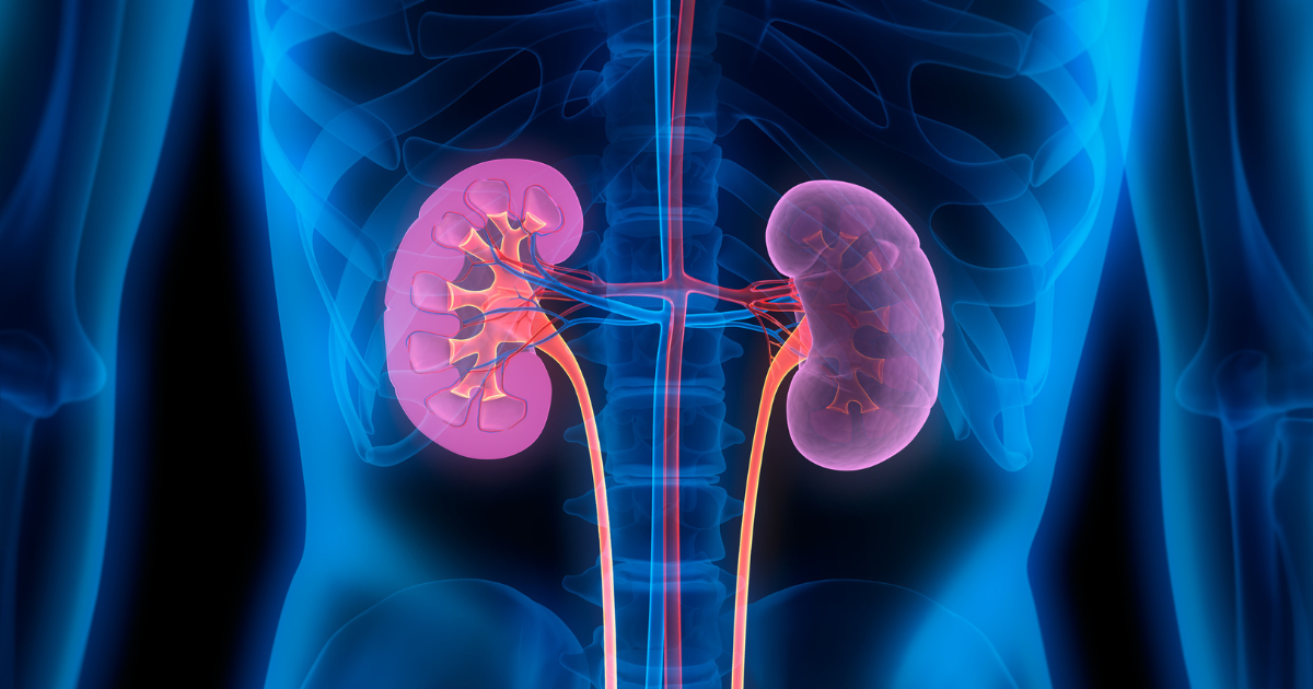 Why more patients may be eligible for kidney transplantation than you think