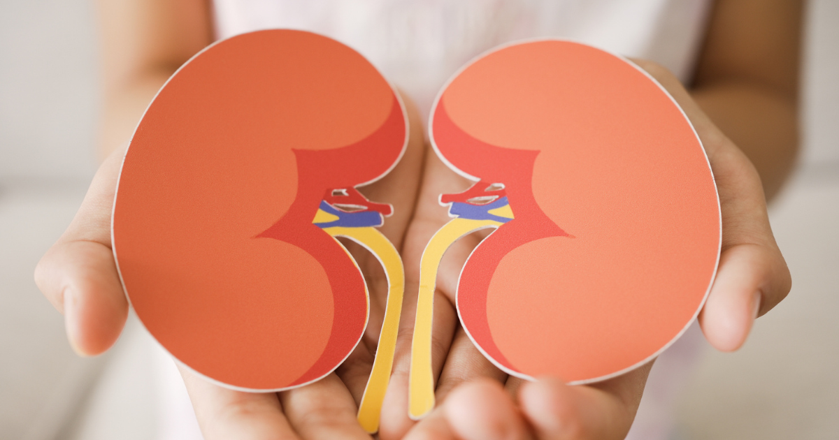 Graphic of kidneys, photo of Chrissy Zbylut and Emily Crowe