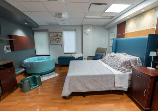 Holistic Birth Place