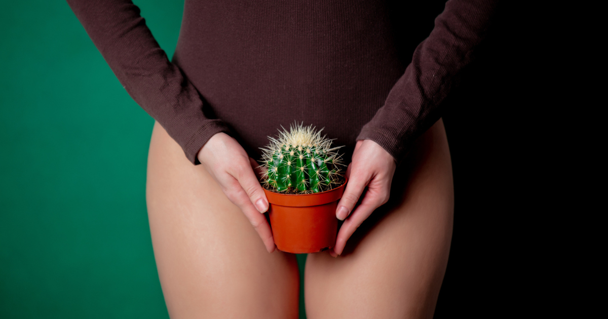 Woman holding cactus in front of her waist