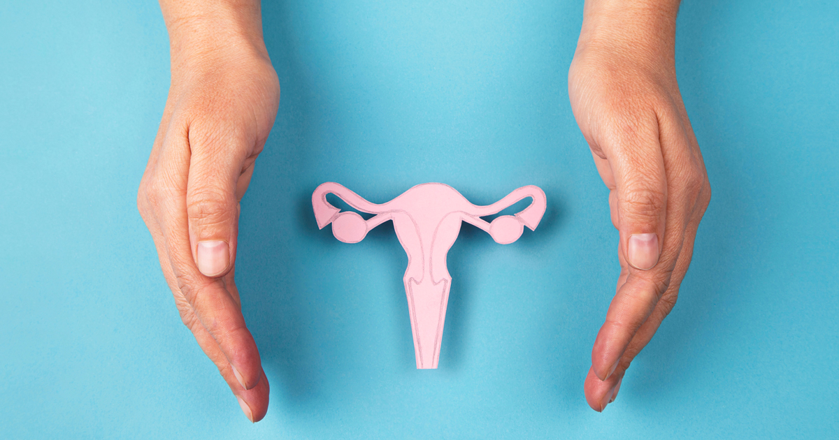 Illustration of a uterus