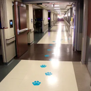 Pediatric Intensive Care and Pediatrics at University Tower