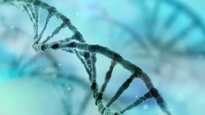 How genetics play a role in heart health