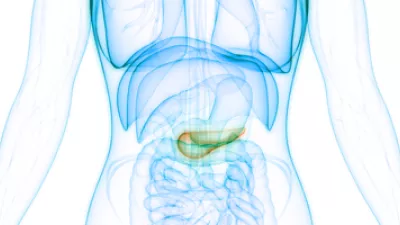illustration of a human body highlighting the pancreas
