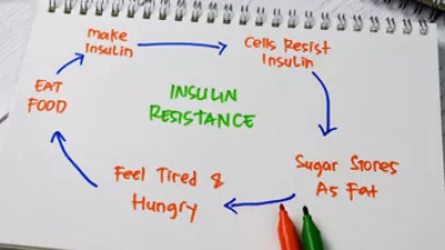 picture of notes about insulin resistance
