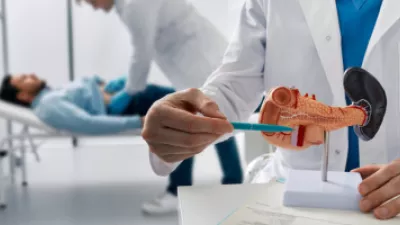 Doctor pointing to medical model of pancreas