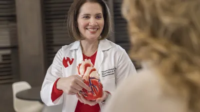 Doctor pointing at medical model of heart