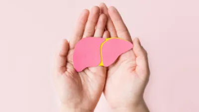 Hands holding paper liver