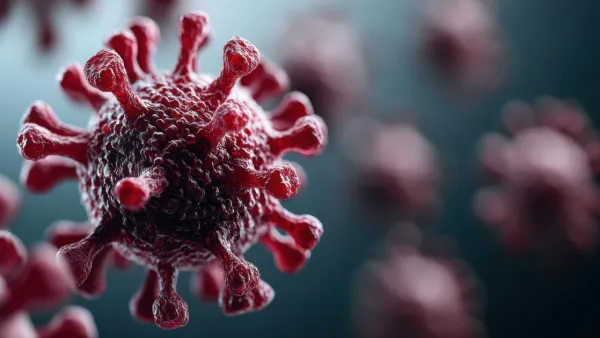 An illustration of a hantavirus particle. 