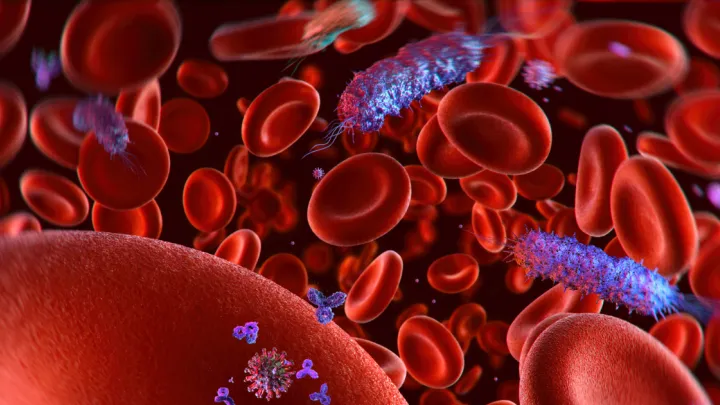 Microscopic germ, bacterial infection agent, gram negative bacterium, contaminated blood 3D science illustration