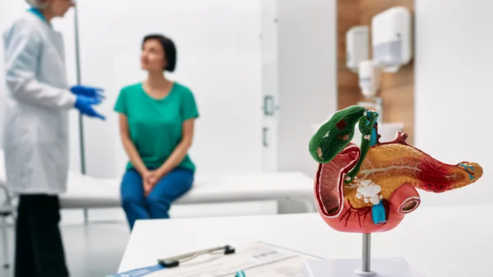 Woman talking to doctor in background, medical model of pancreas in foreground