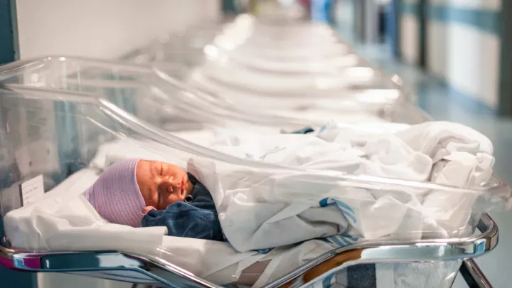 Newborn in hospital bassinet