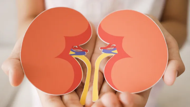 Graphic of kidneys, photo of Chrissy Zbylut and Emily Crowe