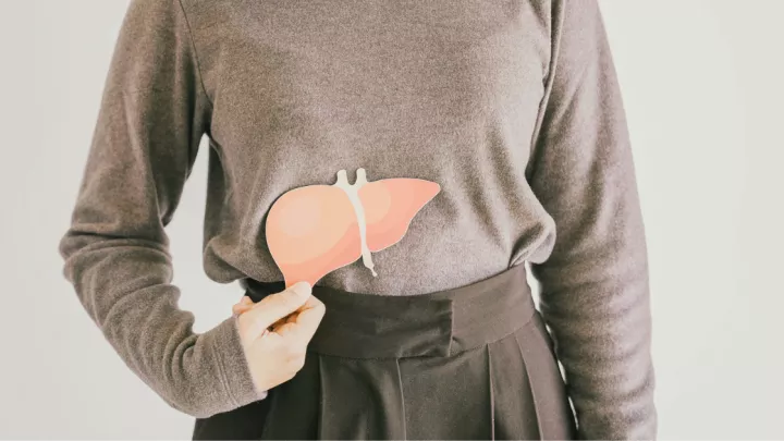 Woman holding a paper liver in front of her abdomen