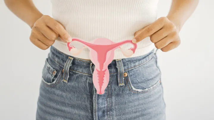 Woman holding paper female reproductive system in front of her abdomen