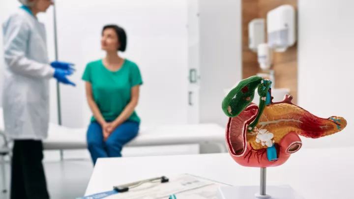 Medical model of the pancreas on a table with a woman seated on a doctor's table in the background