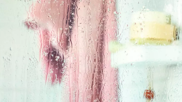 Wet shower door