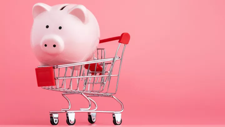 Piggy bank inside a grocery cart