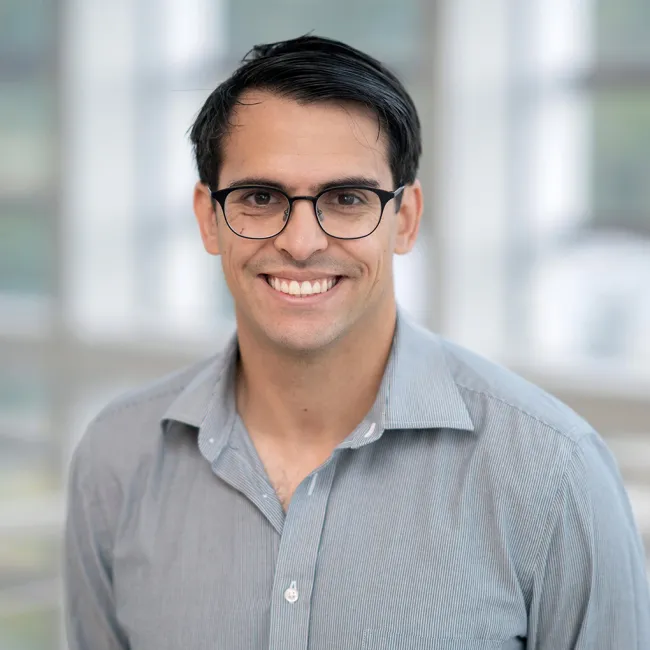   Domenic P  DiSanti, DO